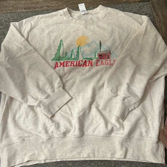 BRAND NEW American Eagle Outfitters oversized crewneck - Picture 5 of 6